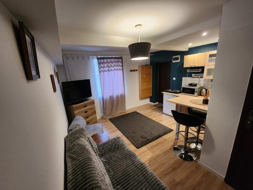 Mała Srebrna Apartment in Lower Silesian Voivodeship