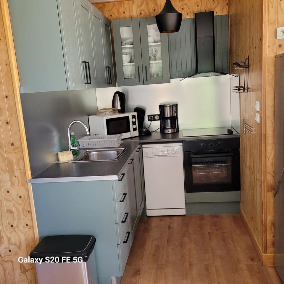 Coffee/tea facilities, Kitchen or kitchenette, dishwasher, oven, stove