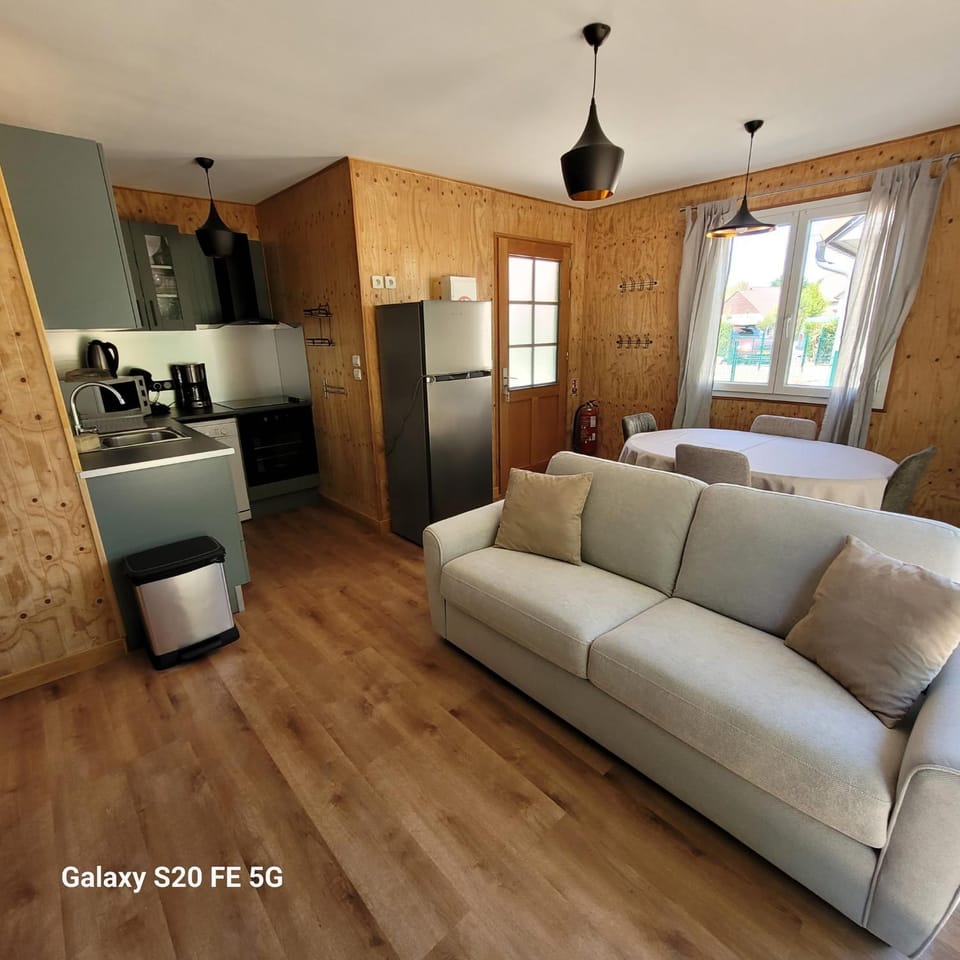 Kitchen or kitchenette, Living room, Seating area, oven, stove