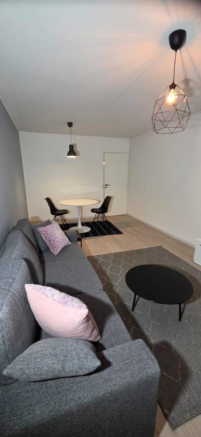Quiet, spacious two-room apartment near the train station Apartment in Finland