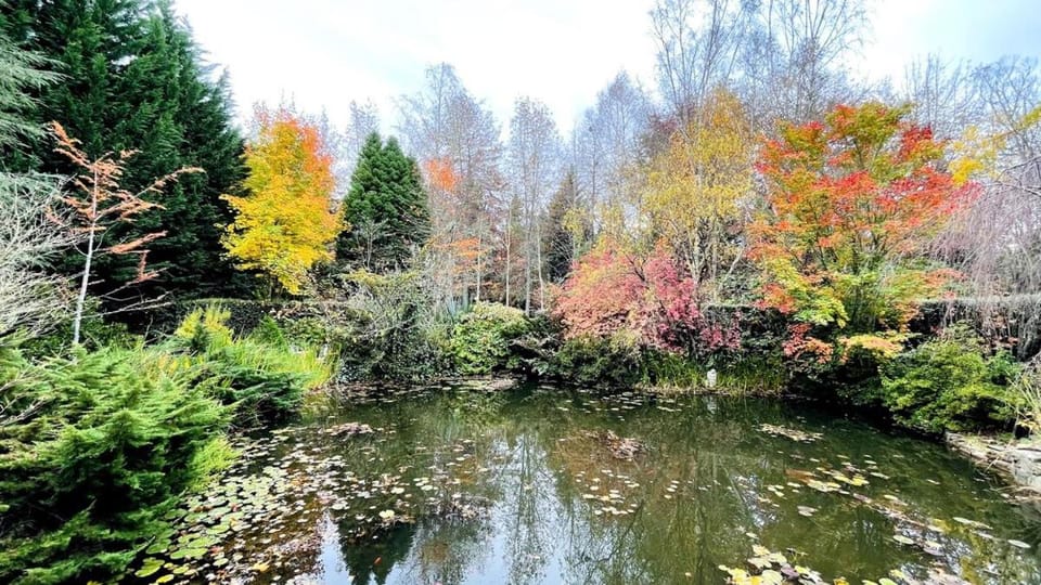 Woodside Garden Cottage House in Eastern Cape