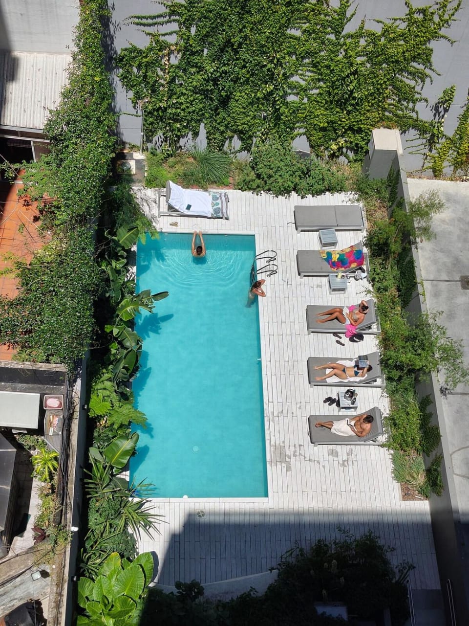 Day, People, Garden, Pool view, Swimming pool, group of guests