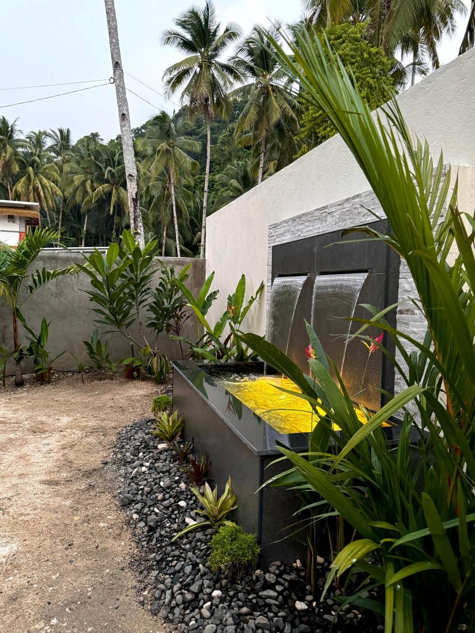 Garden view