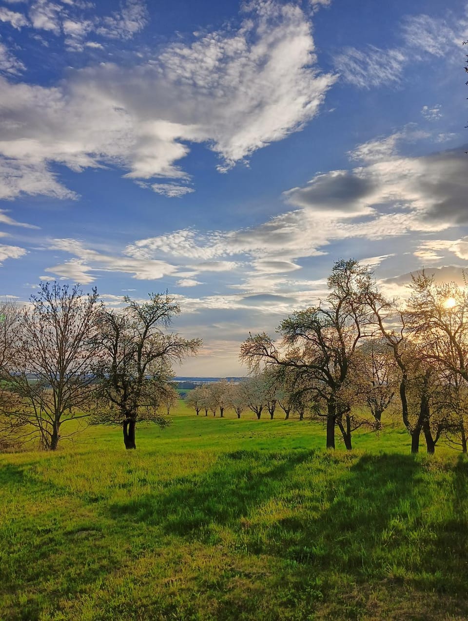 Natural landscape