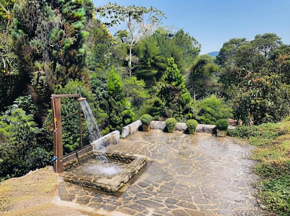 Garden, Garden