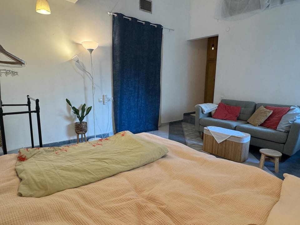 Bed, Seating area, Bedroom