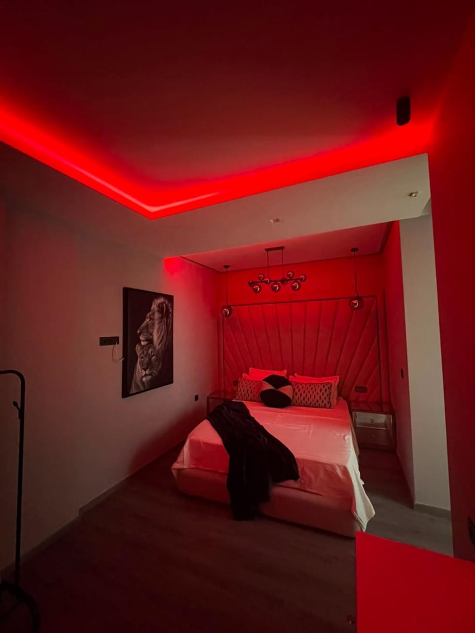 Bed, Photo of the whole room, Bedroom