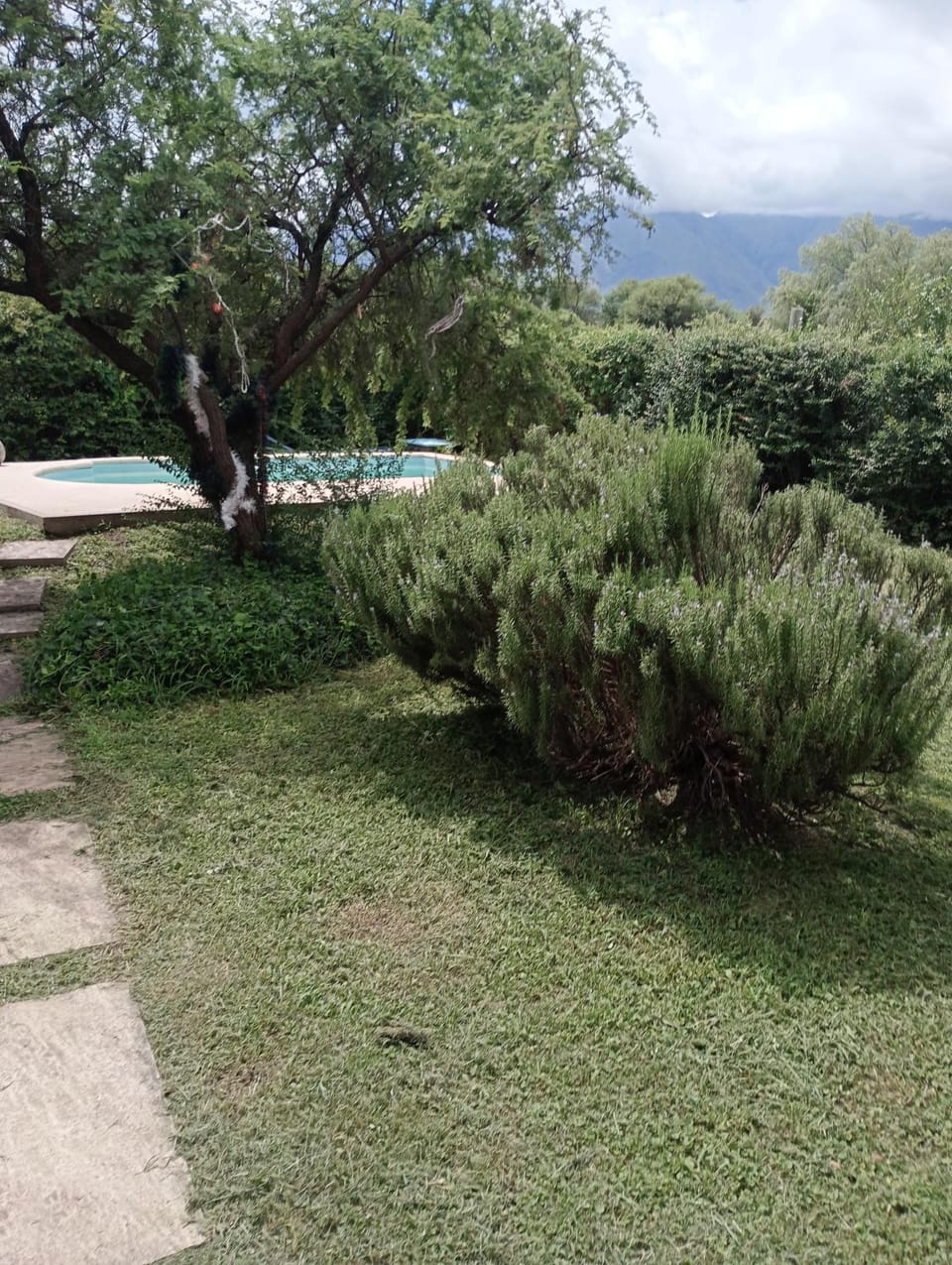 Garden, Garden view, Mountain view, Swimming pool