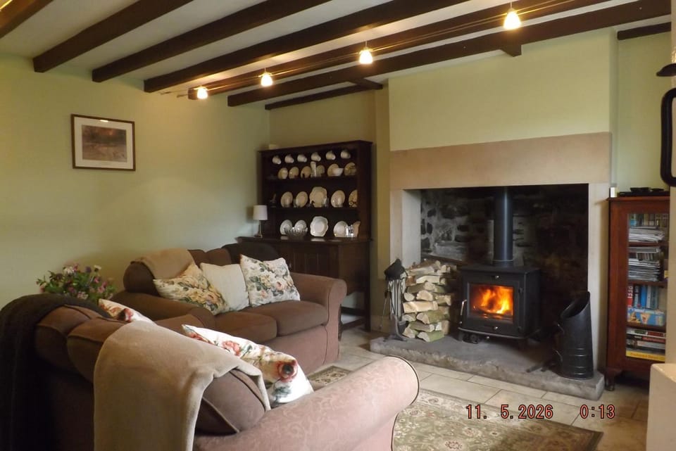 Living room, fireplace
