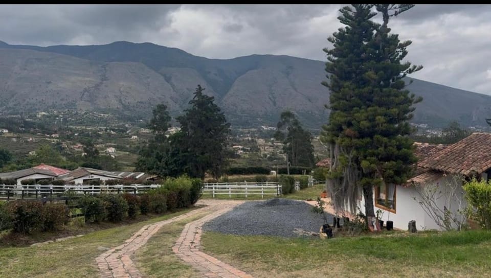 Casa Olivo House in Boyaca
