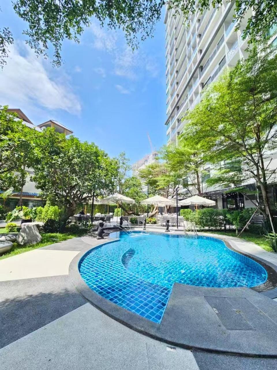 Day, Garden, Garden view, Swimming pool, sunbed