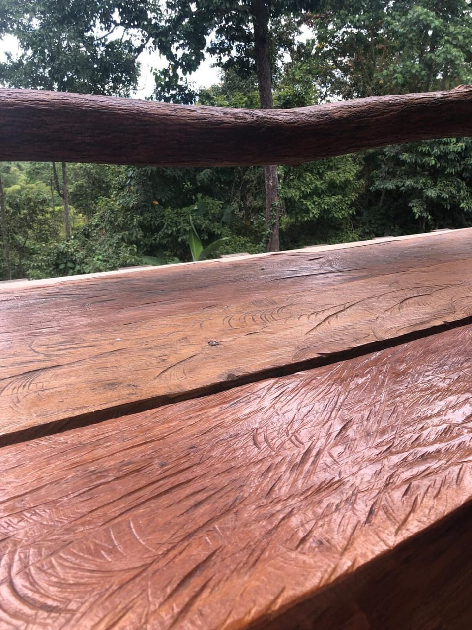 Cabañas sin fronteras Campground/ 
RV Resort in Cundinamarca, Colombia