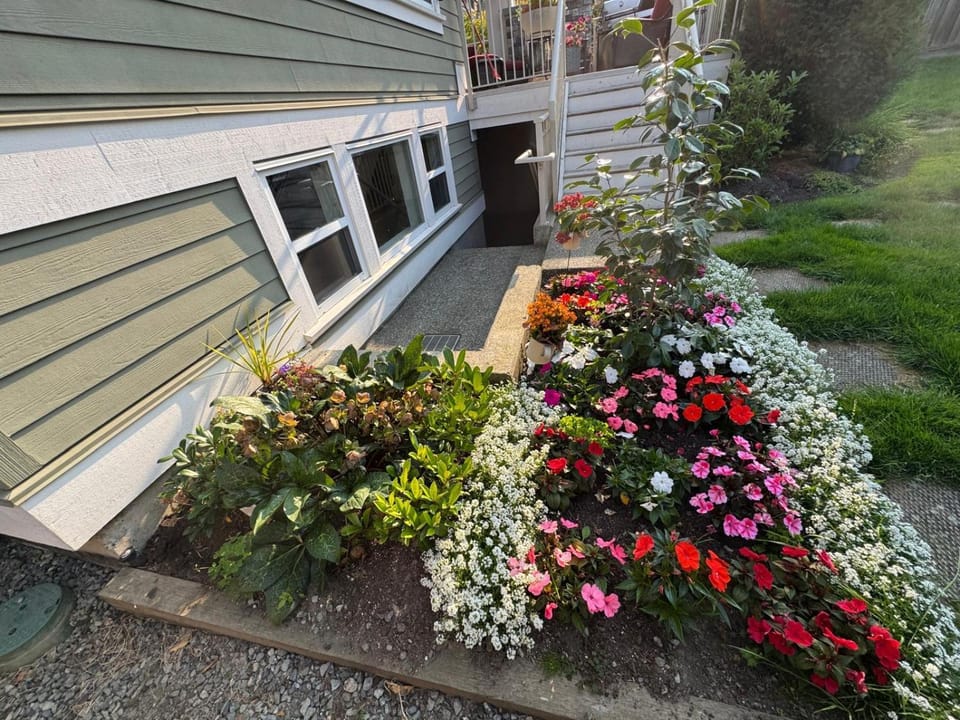 Garden view