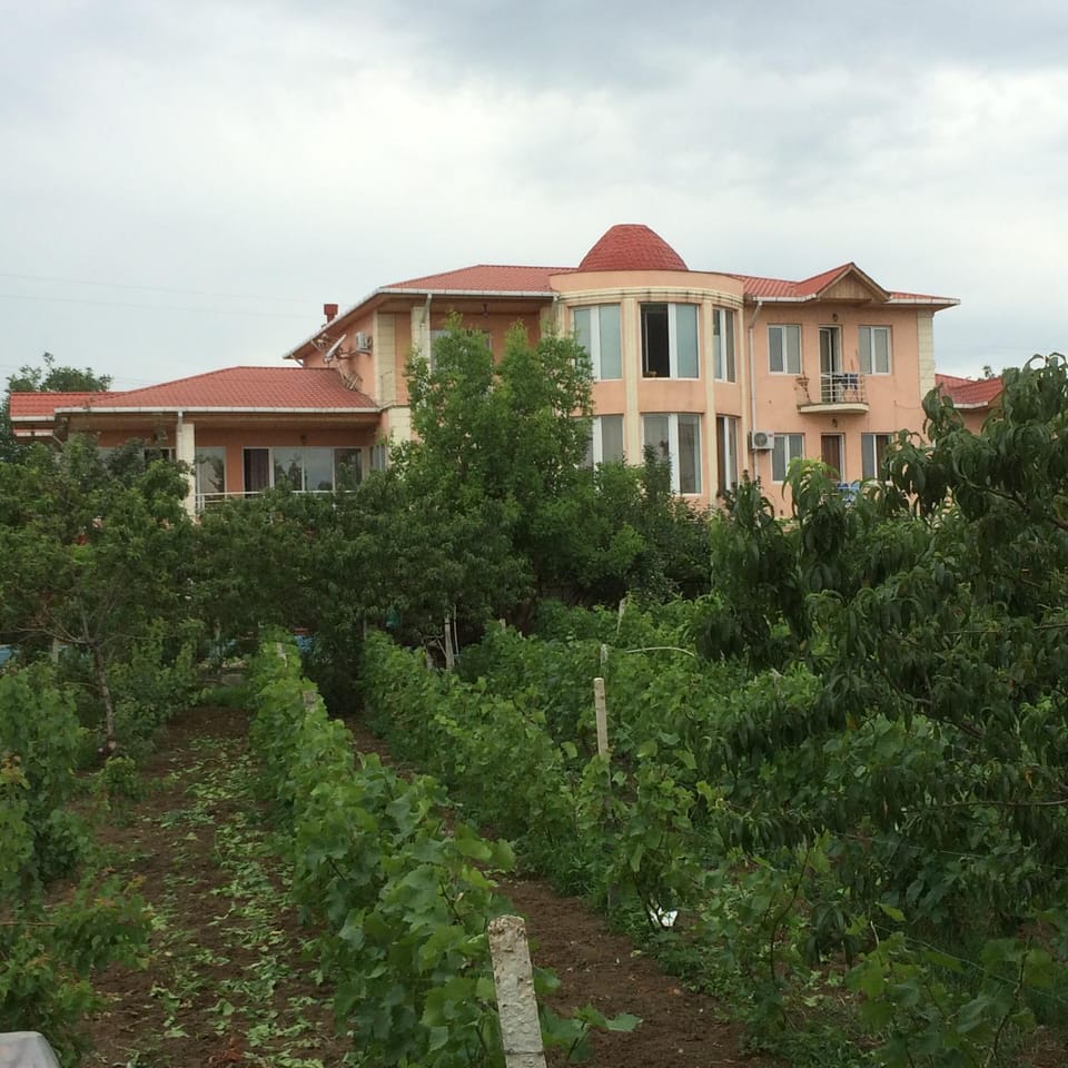 Property building, Garden view