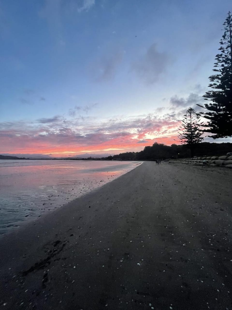 Sandy Soul Beach Apartment Apartment in Whitianga