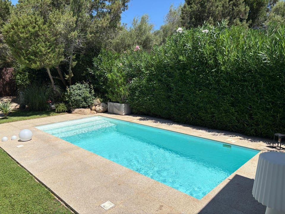 Garden, Pool view, Swimming pool, sunbed