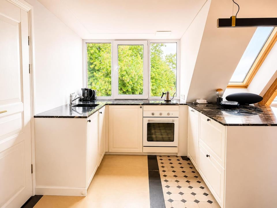 Kitchen or kitchenette, dishwasher, stove, toaster