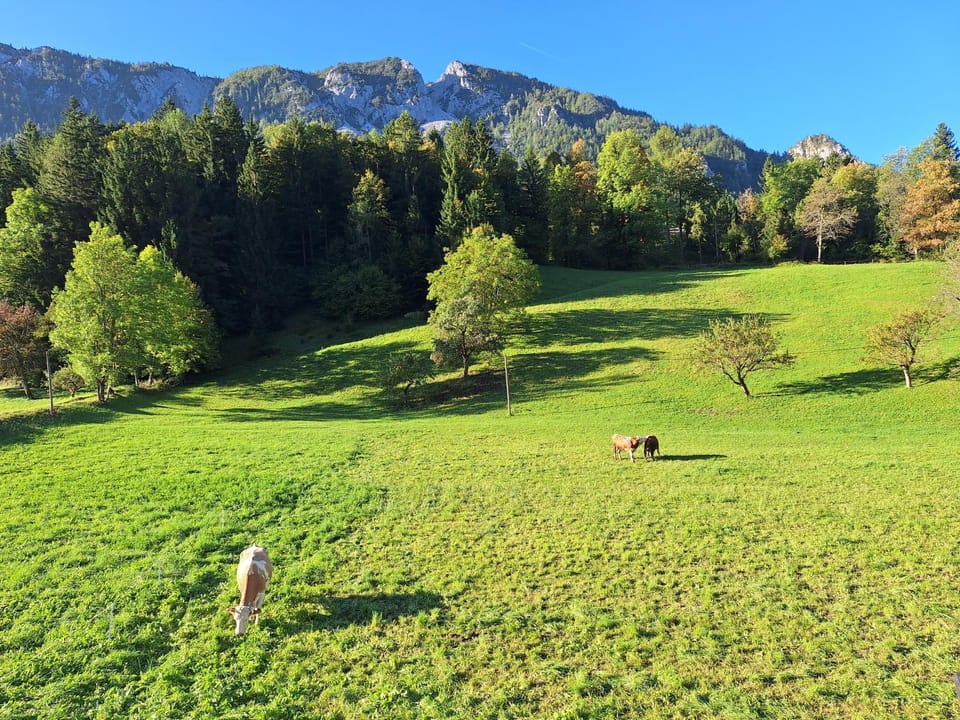 Natural landscape, Mountain view