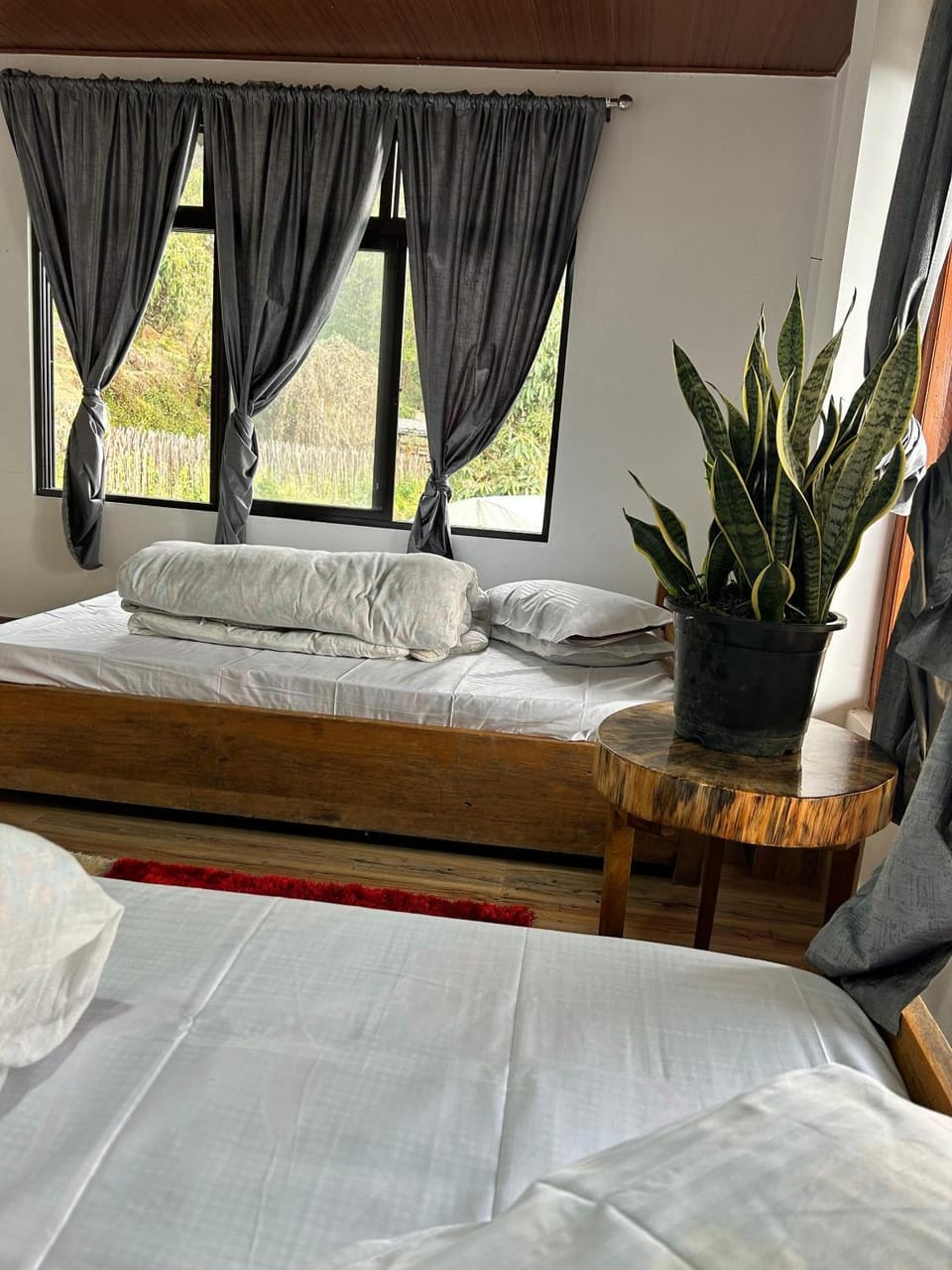 Bed