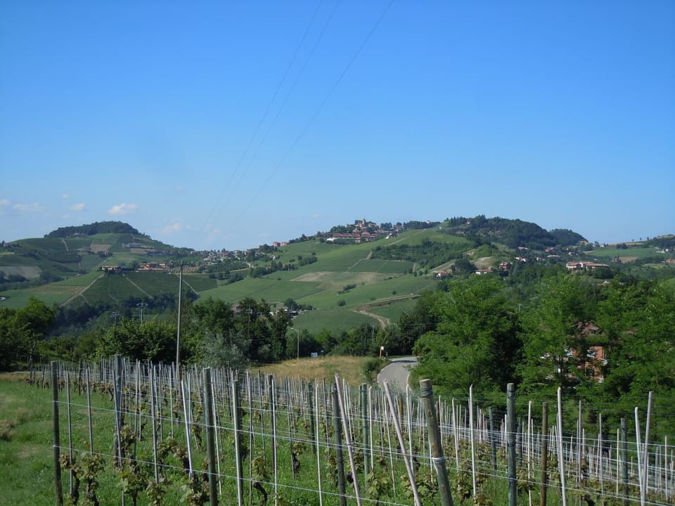 Natural landscape
