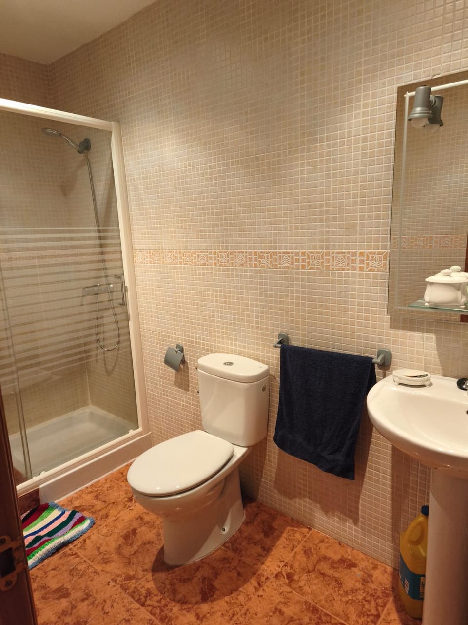 Bathroom, Living room