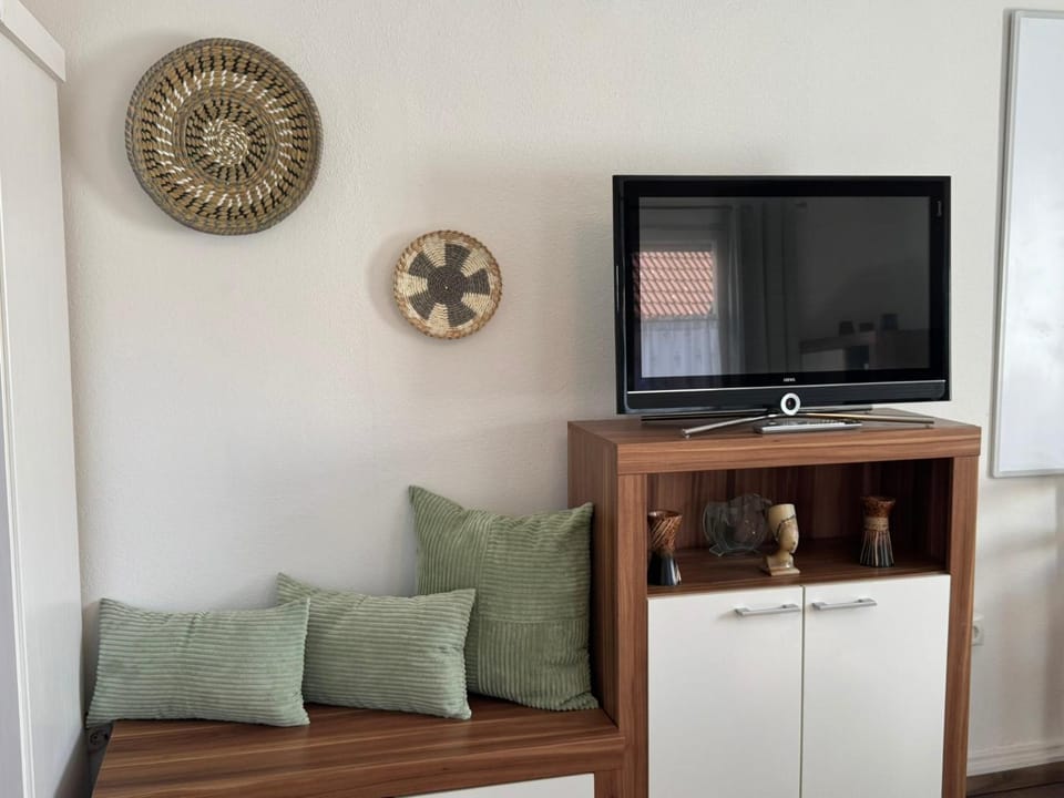 TV and multimedia