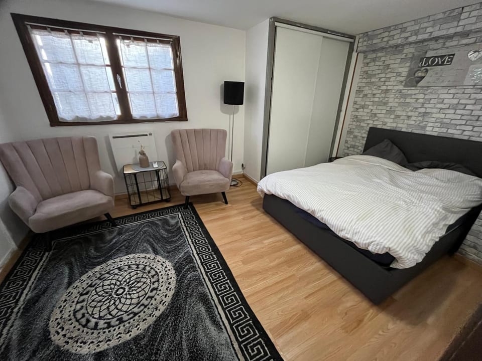 Apparement spacieux au centre de Poitiers Apartment in Poitiers