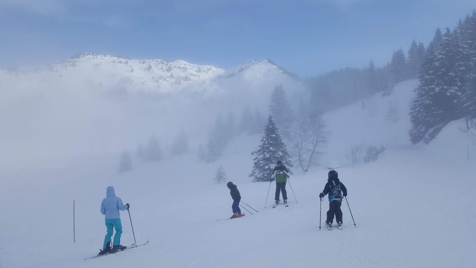 Day, Winter, Skiing, group of guests