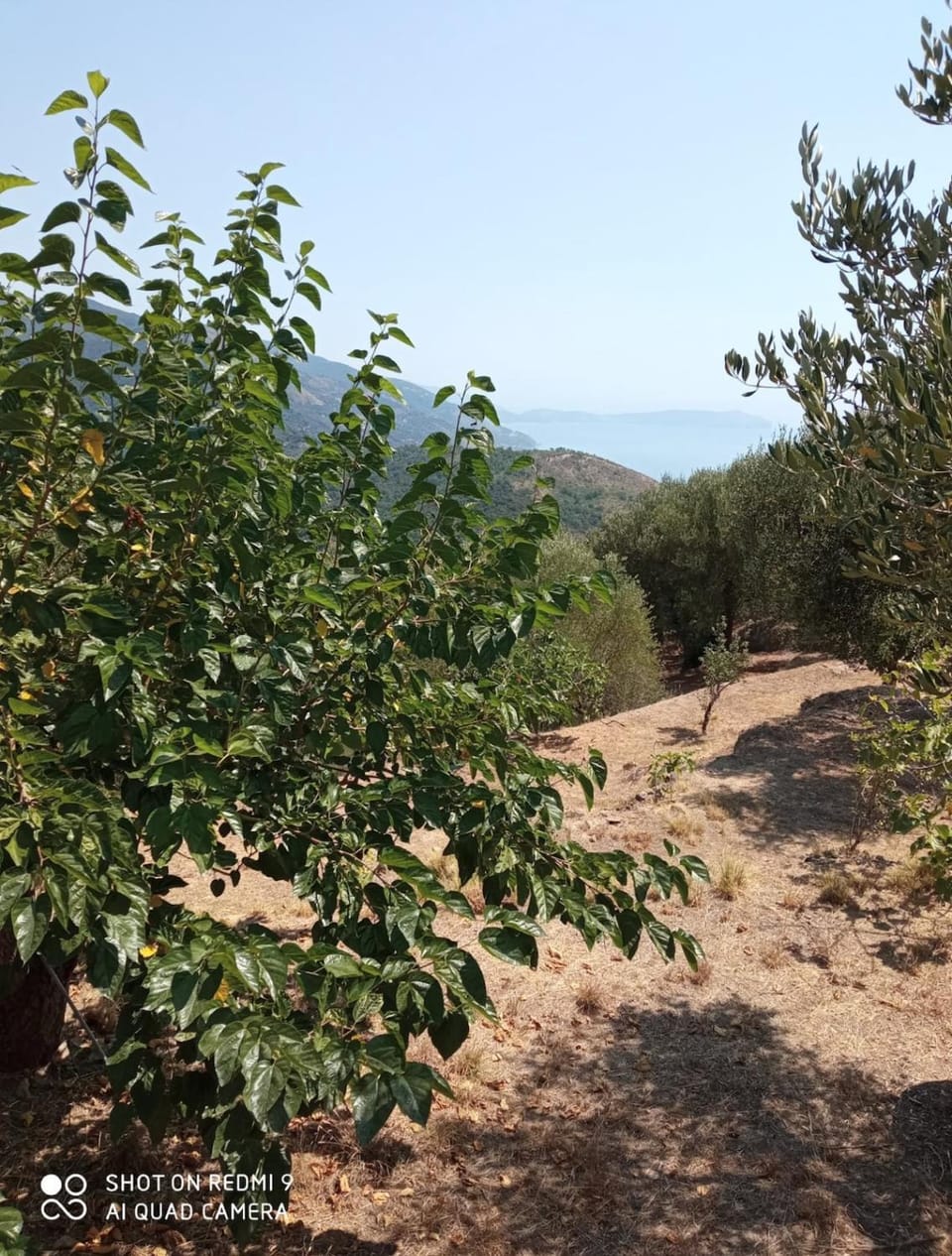 Villa Lidia Villa in Campania