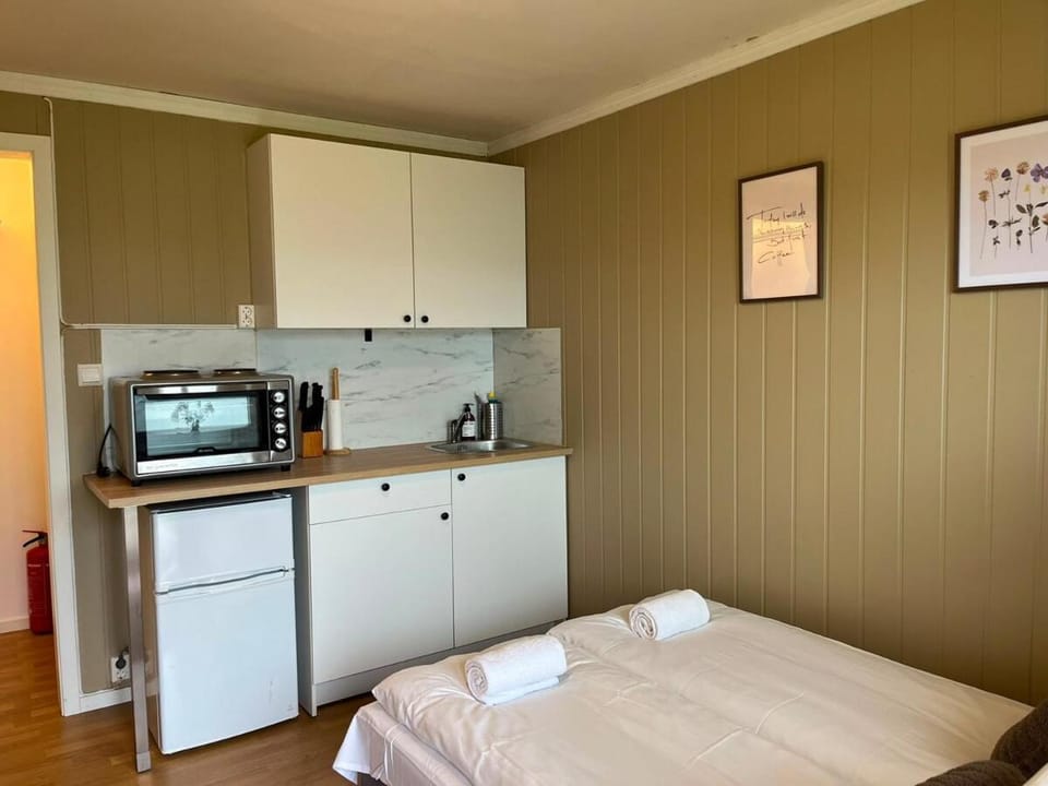 Cozy Studio Apartment - Free Parking & WiFi Apartment in Vestland