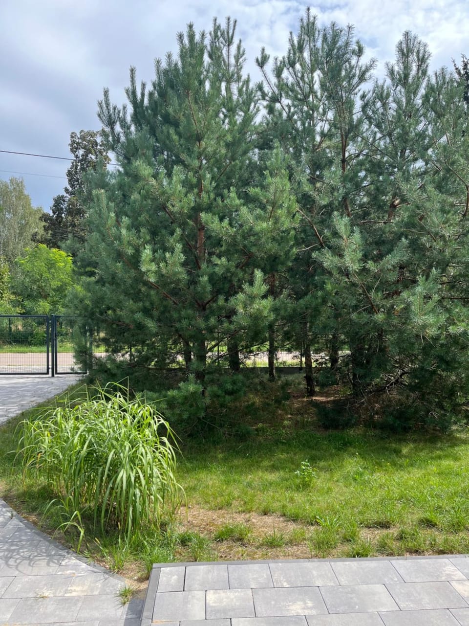 Garden, Garden view
