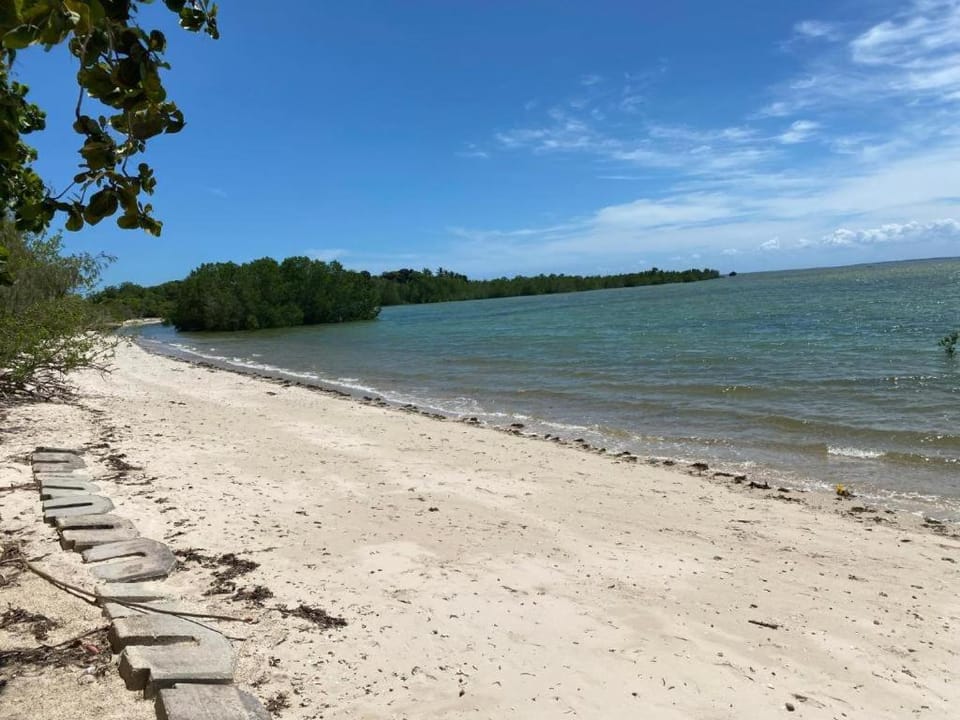 Day, Beach, Sea view