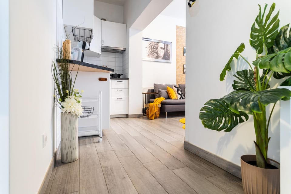 Kitchen or kitchenette, dishwasher, oven, pet friendly