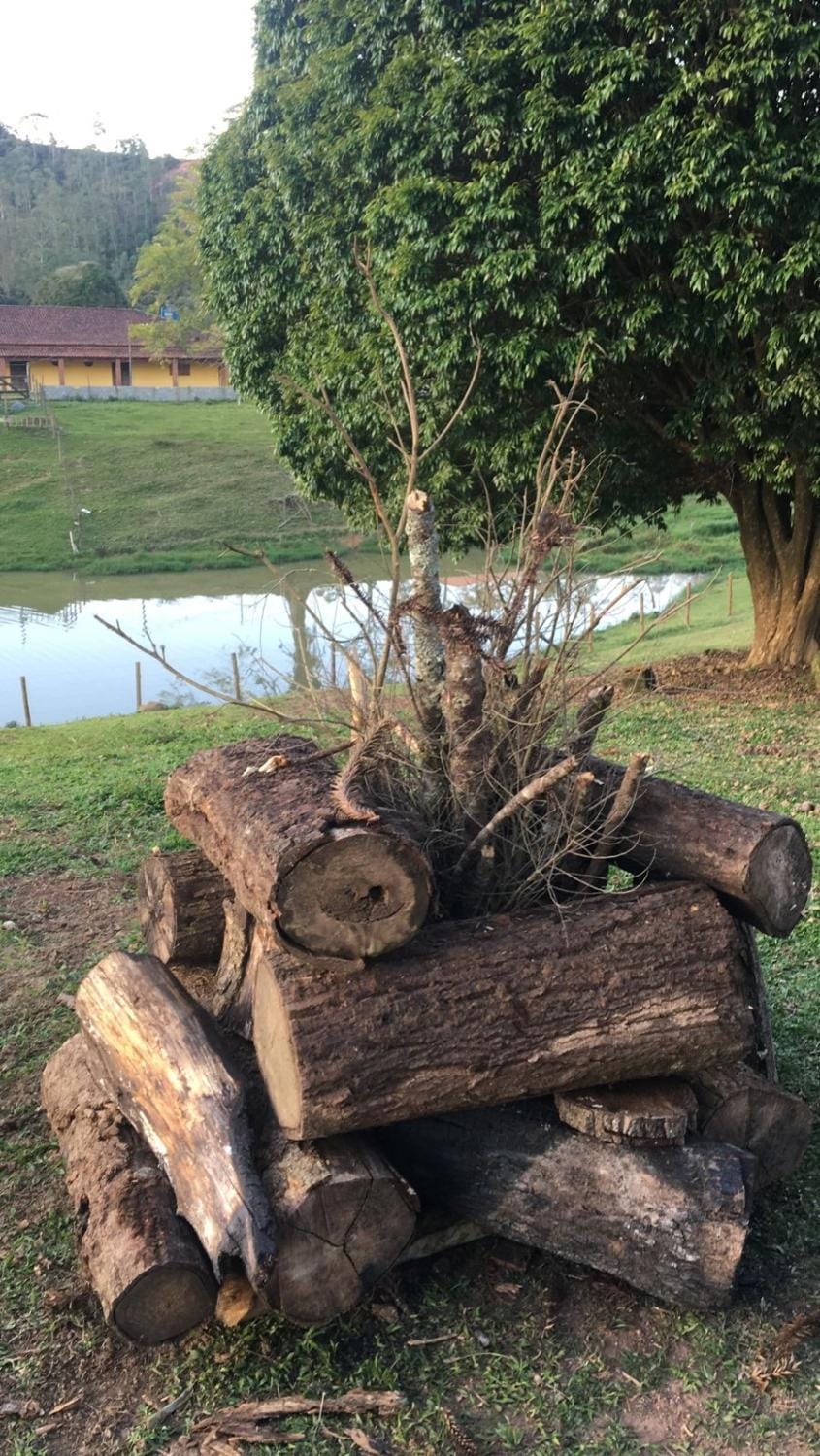 Chácara sabor de Mel, em meio a mata atlântica, com Trilha da Cachoeira para Off-Road, Cavalgadas e Romaria House in State of São Paulo