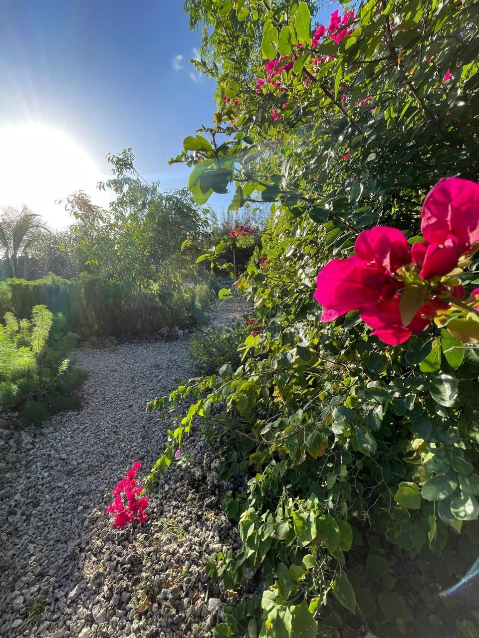Garden, Garden view