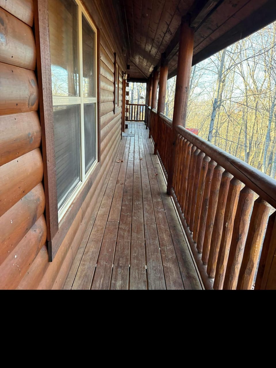 A Bear's Kind of Fun House in Gatlinburg