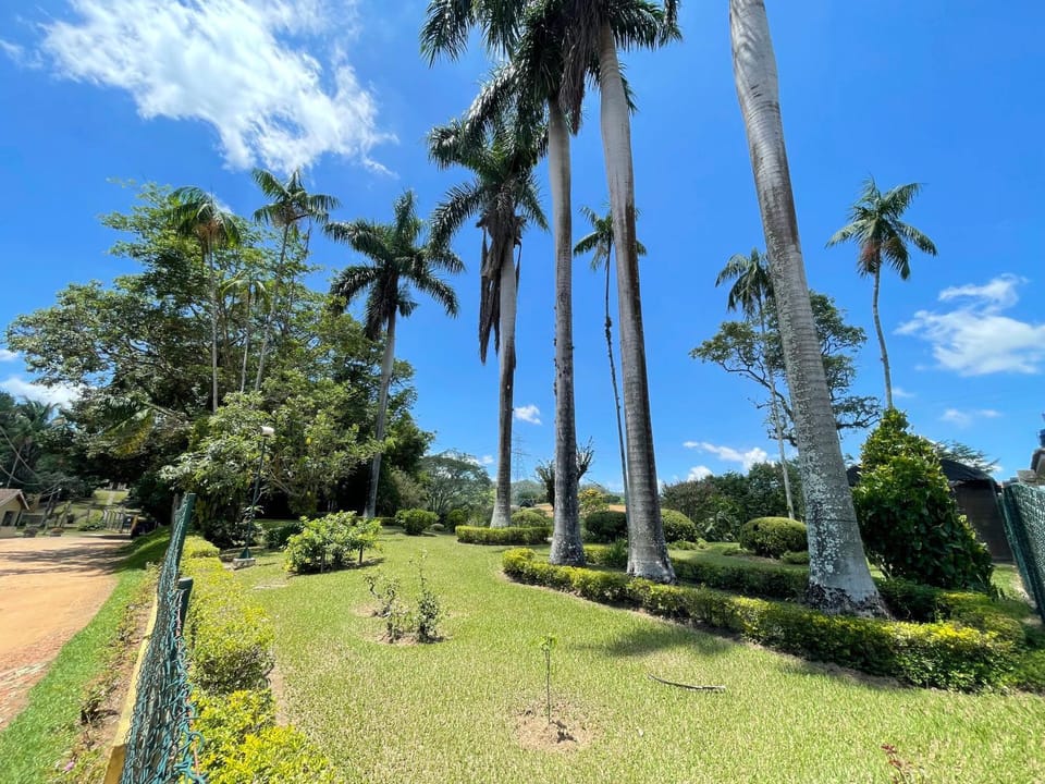 Garden, Garden view