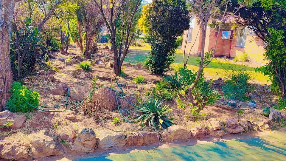 Day, Natural landscape, Garden, Garden view
