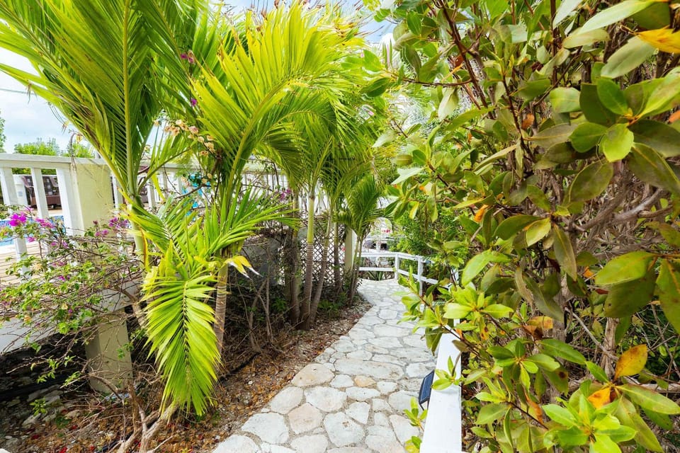 Day, Garden view