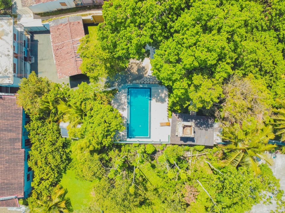 Day, Natural landscape, Bird's eye view, Garden view, Pool view, Swimming pool