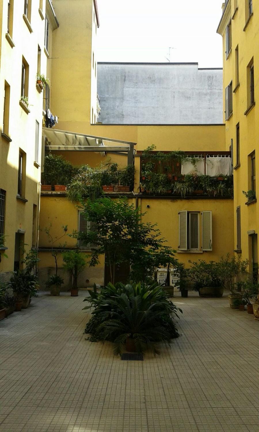 Garden view, Inner courtyard view