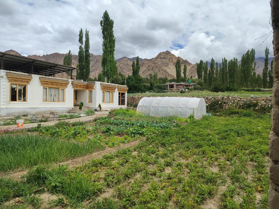 Property building, Garden view, Mountain view