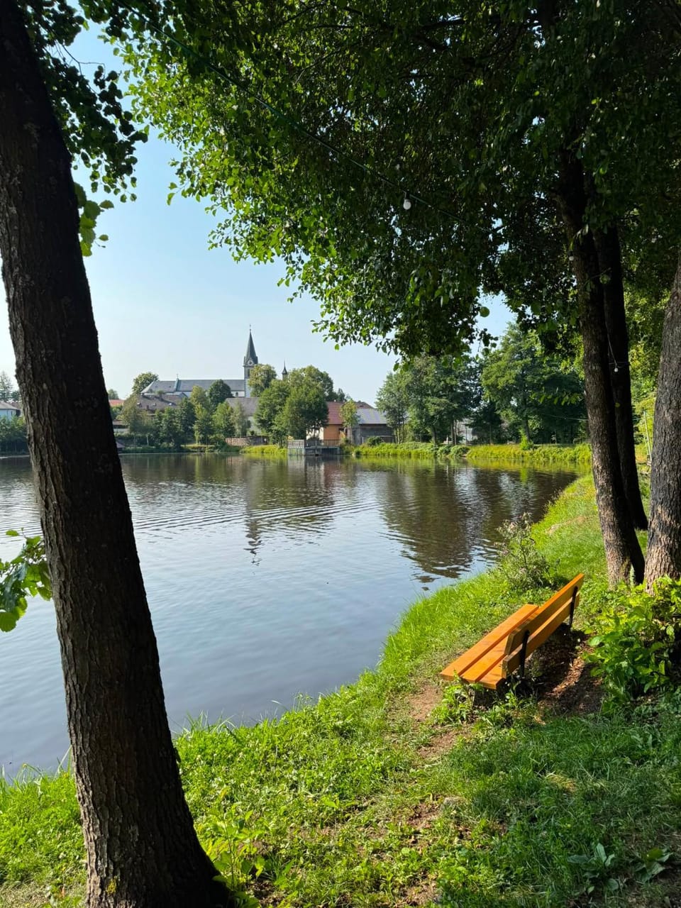 Lake view