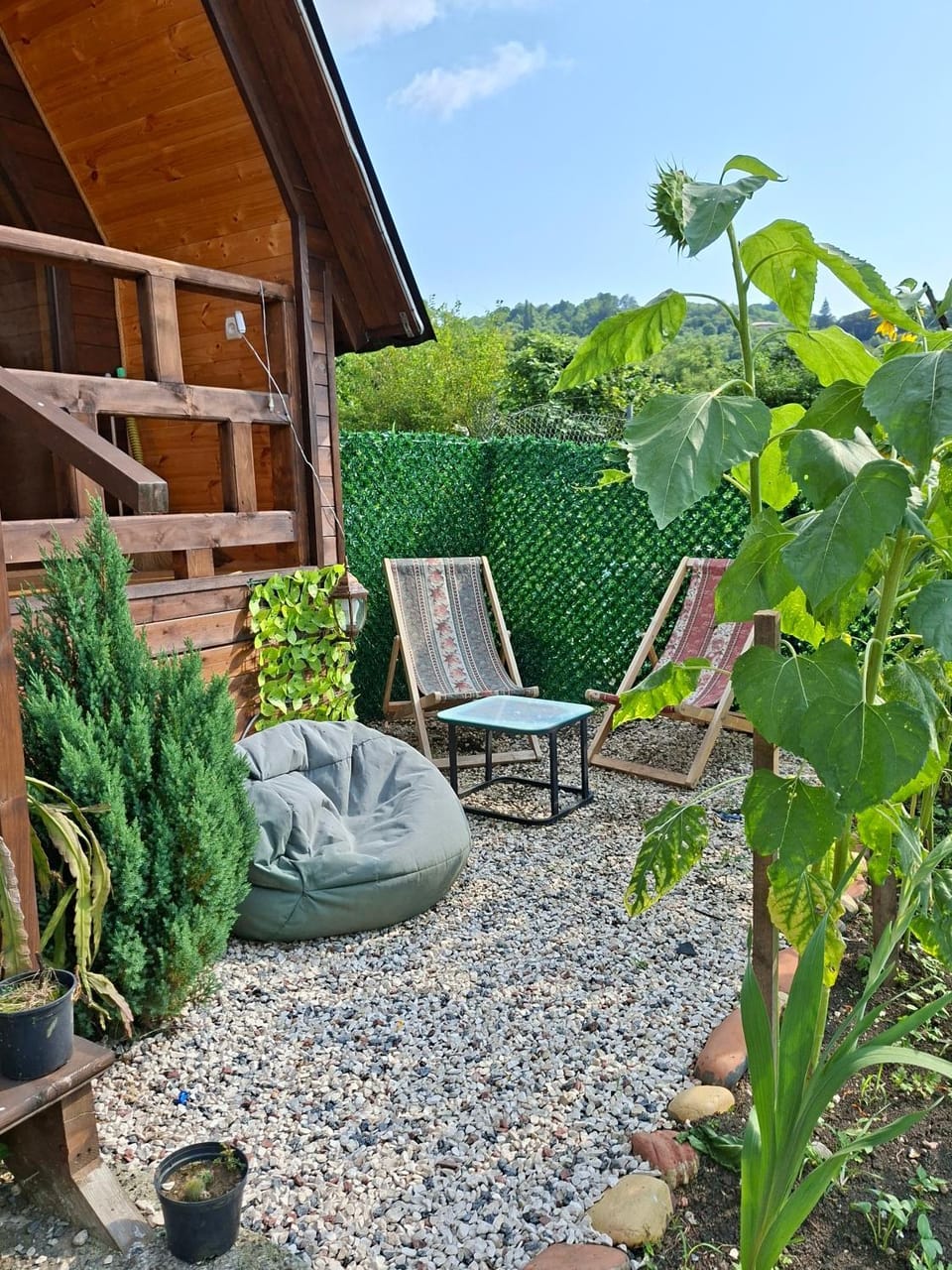 Spring, Garden, View (from property/room), Garden view