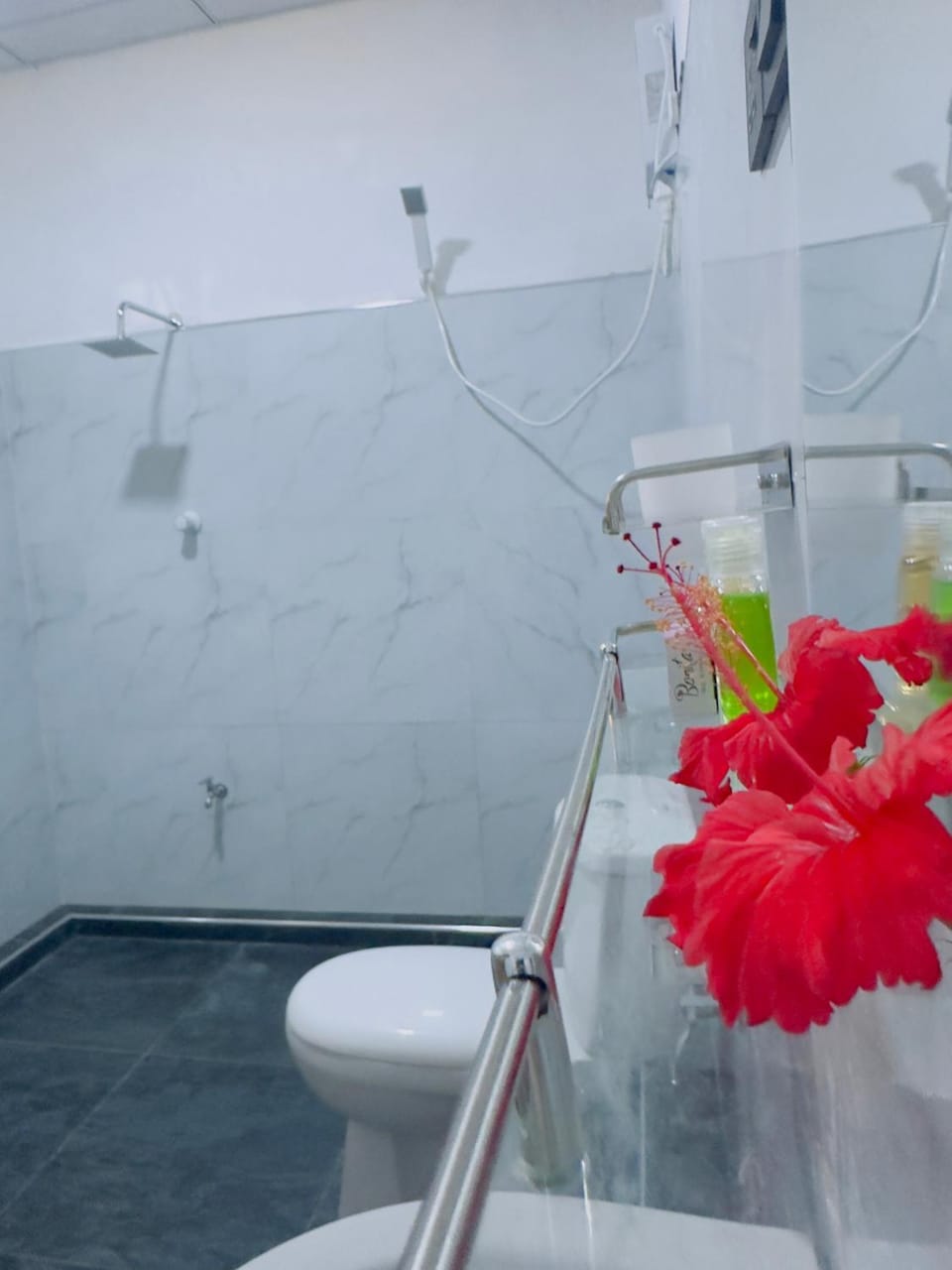 Shower, Toilet, Bathroom