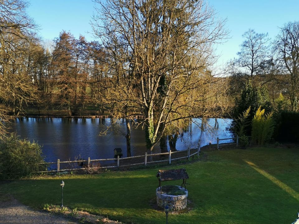 Lake view