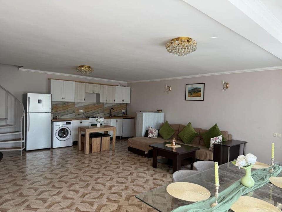 Living room, Seating area, Dining area, stove, washing machine, kitchen