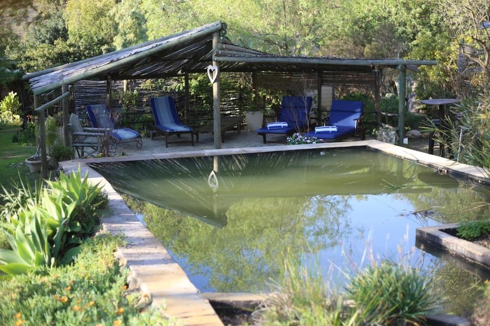 Pool view, sunbed