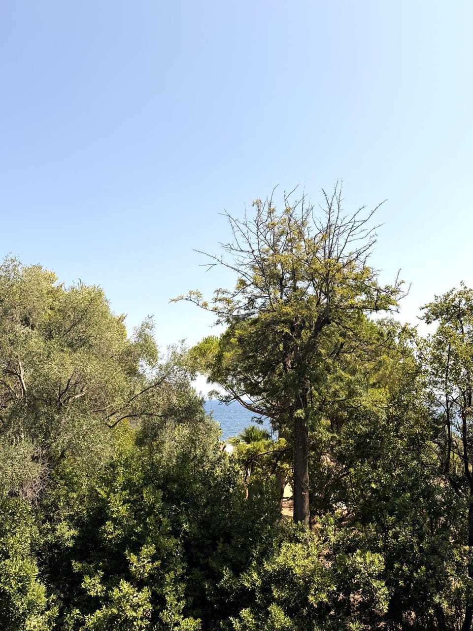Natural landscape