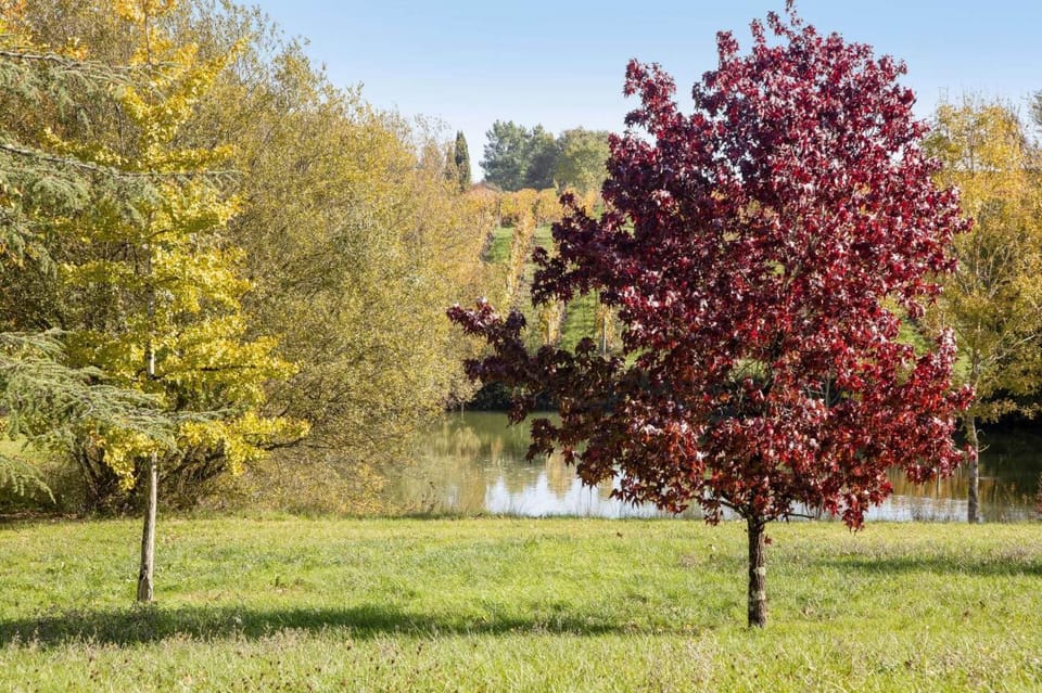 Maison de charme au coeur des vignes House in Nouvelle-Aquitaine